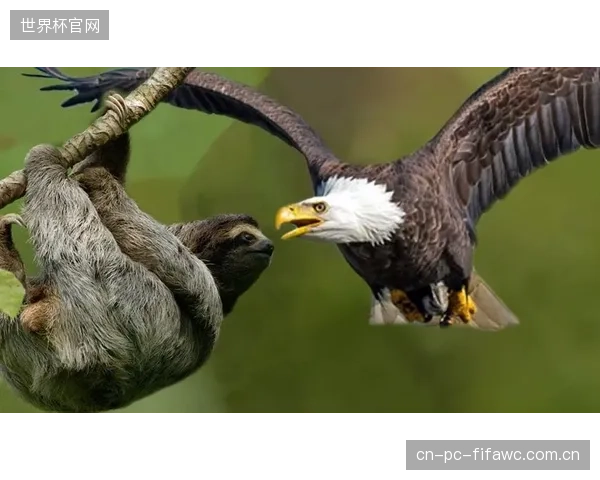 吉尔森·塔瓦雷斯的反击速度是佛得角客场取分的重要武器。